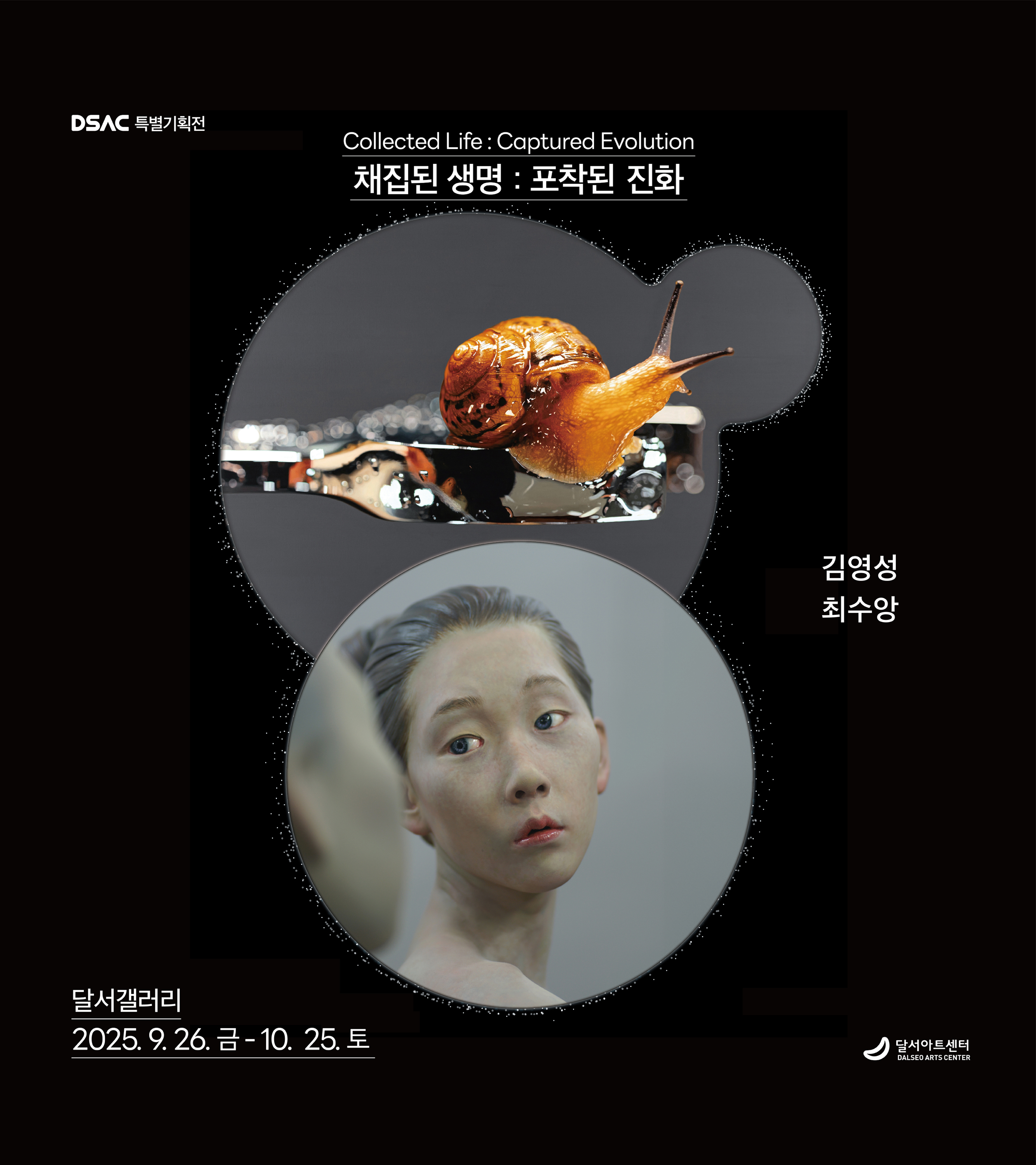 DSAC 특별기획 김영성X최수앙  「채집된 생명 : 포착된 진화」